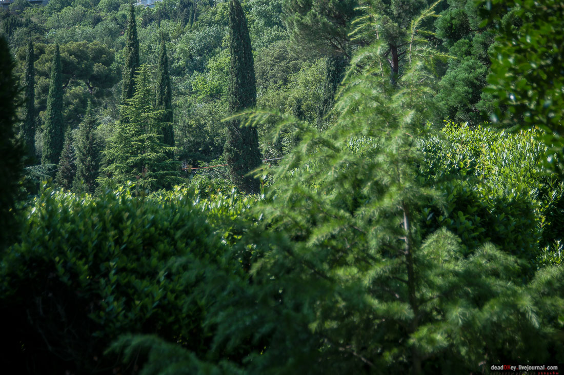 P2WlxyVijxKhhGtv9s9RVEMdsf-ah7h0yFmVCaBSlcXe_A6al8i_R0wpFEg4E0x_uVAahSjNdhNKC0EHhFco8kcDhySAIfyS-Epf