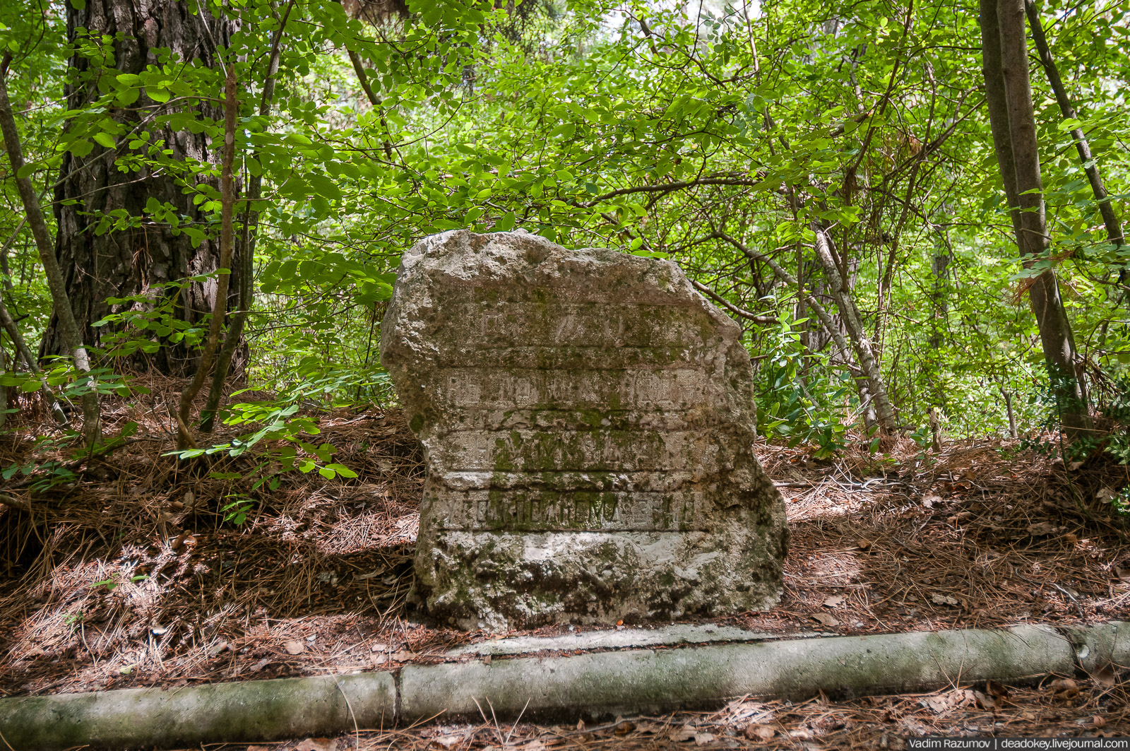 P2WlxyVijxKhhGts88tUUkMdsf-ah7h0yFmVCaBSlcXe_A6al8i_R0wpFEg4E0x_uVAakDTIYgdMBEEHlAF07EsOh3uANOCX7F5Z