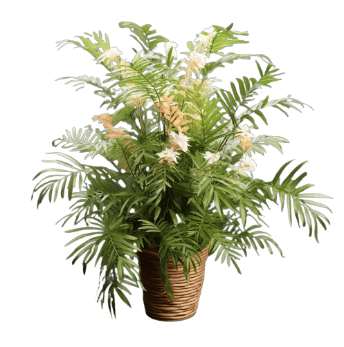 _24-10-2025_052321-removebg-preview