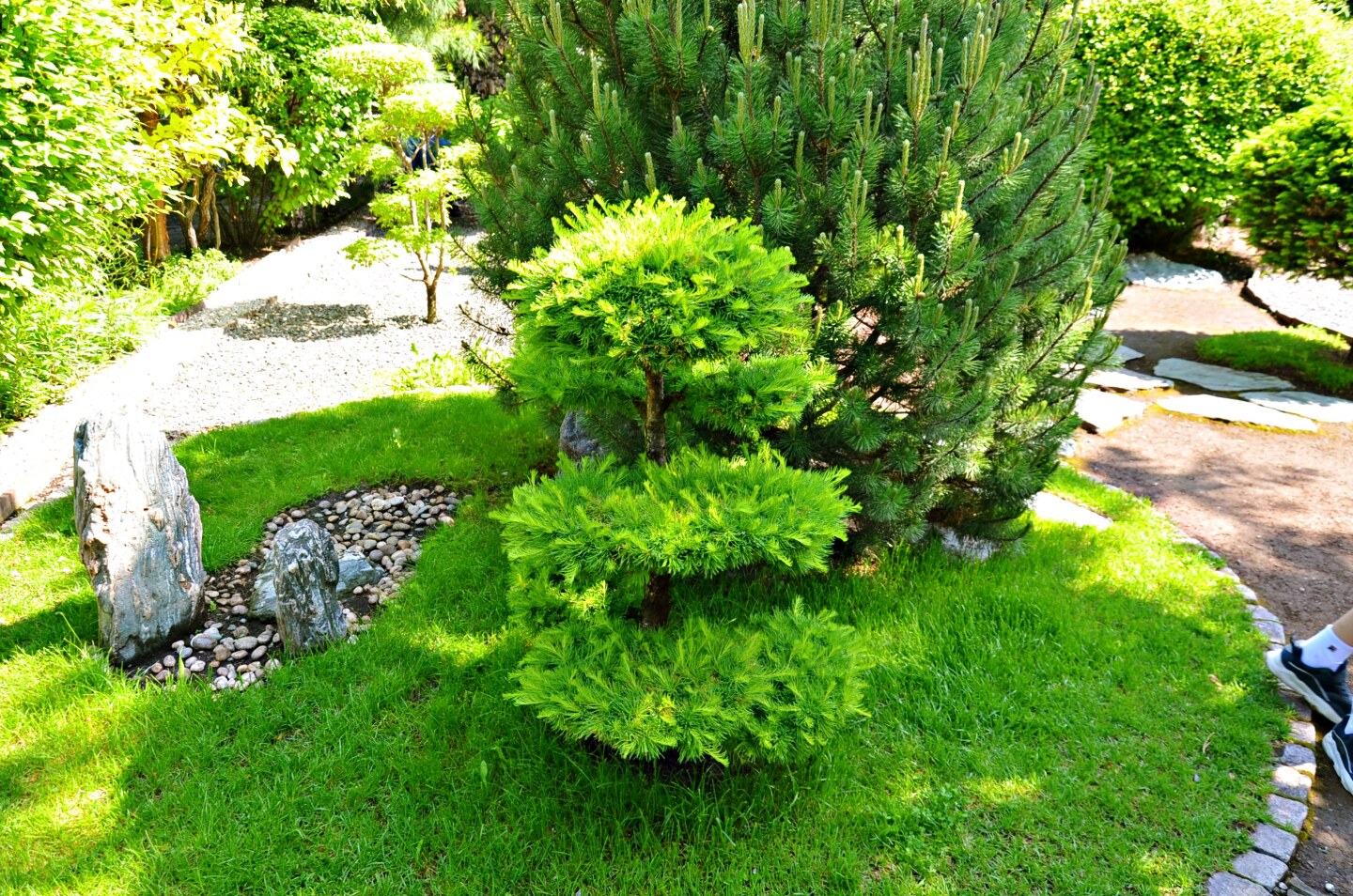 6f40db27425798861ebbade4135cb1cd3418c585