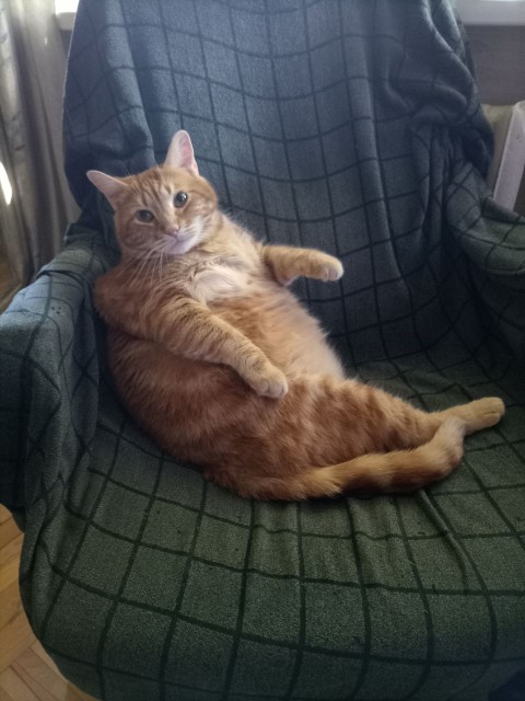 photo_2026-01-03_15-35-52