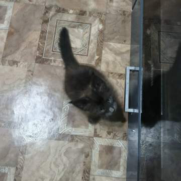 Jg15eKcgxyKQgaPxQD0-hlFdNDD7z3BMxfoJLvp4oUltOdfi052_paeldtqaCt4ICS5OYRPEPXSHUtF_XgLRl923