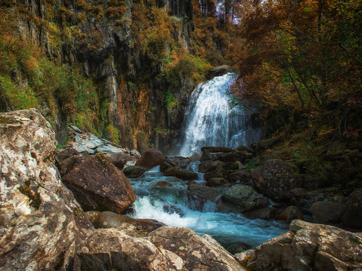 a0082d03-895e-42ad-85a0-c71fc6446231