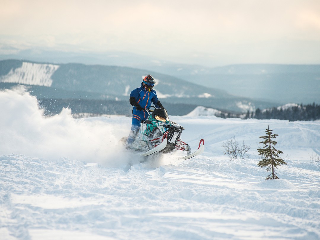 31ad2776-d6aa-4f9d-9996-1e09c5eee2b0