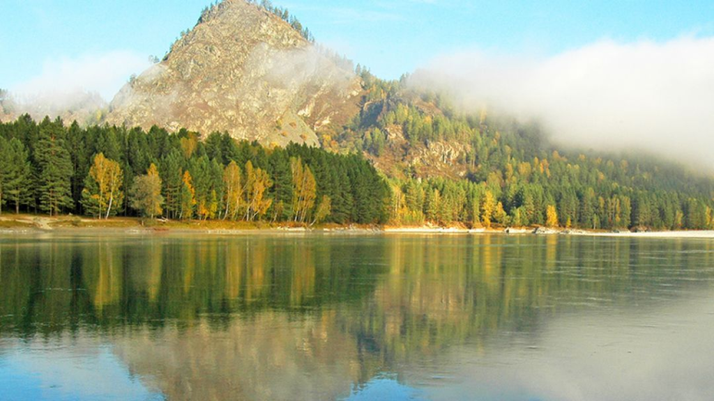 2MPUn3301d9325eG0SK8Po6J8PbPB1XMqXt7WvPx4PlPX9TcBDx2C9O5hS6aQHmC5zNZpGeuyjVhAHcZuysJmhI14yLoVPlL61Kz