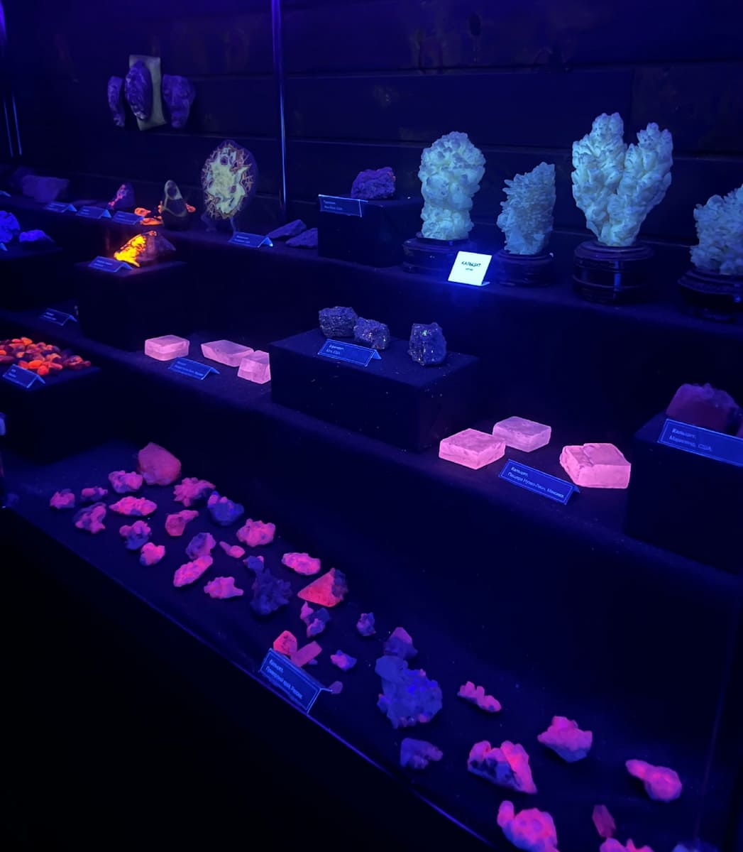 fadedb68-ec59-4245-924d-e29b07ac09e1