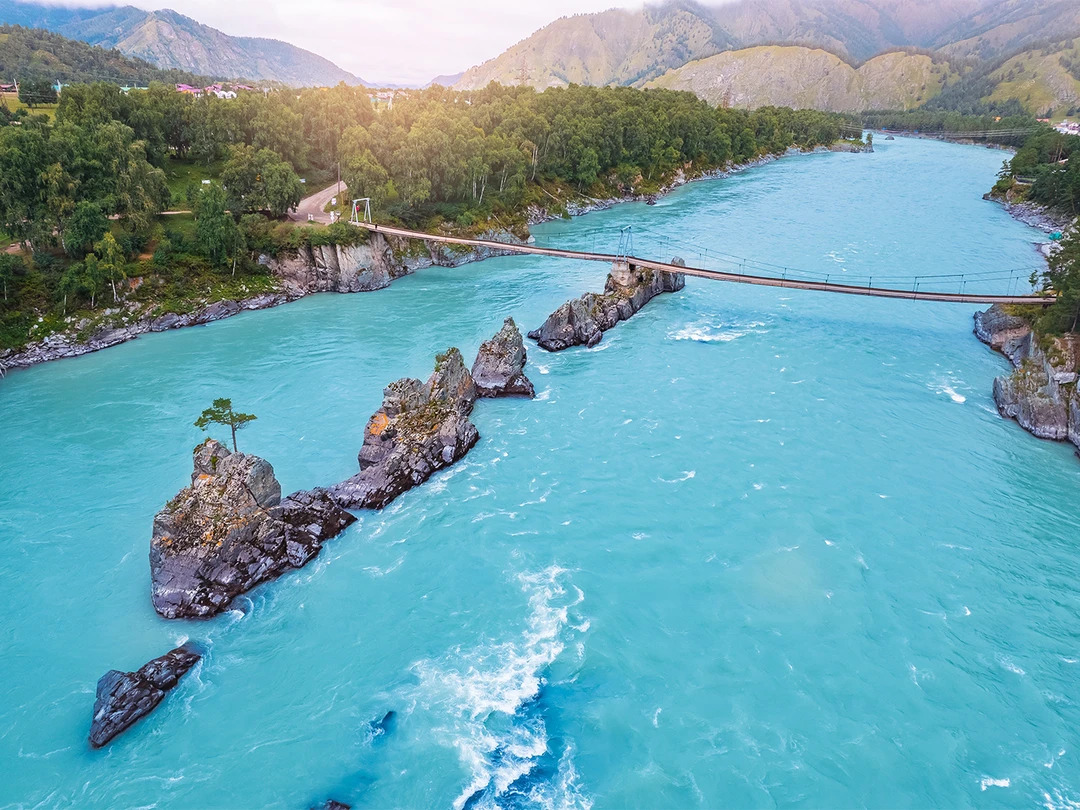 1d4e69b3-e25e-448f-9497-3165281dd0c1