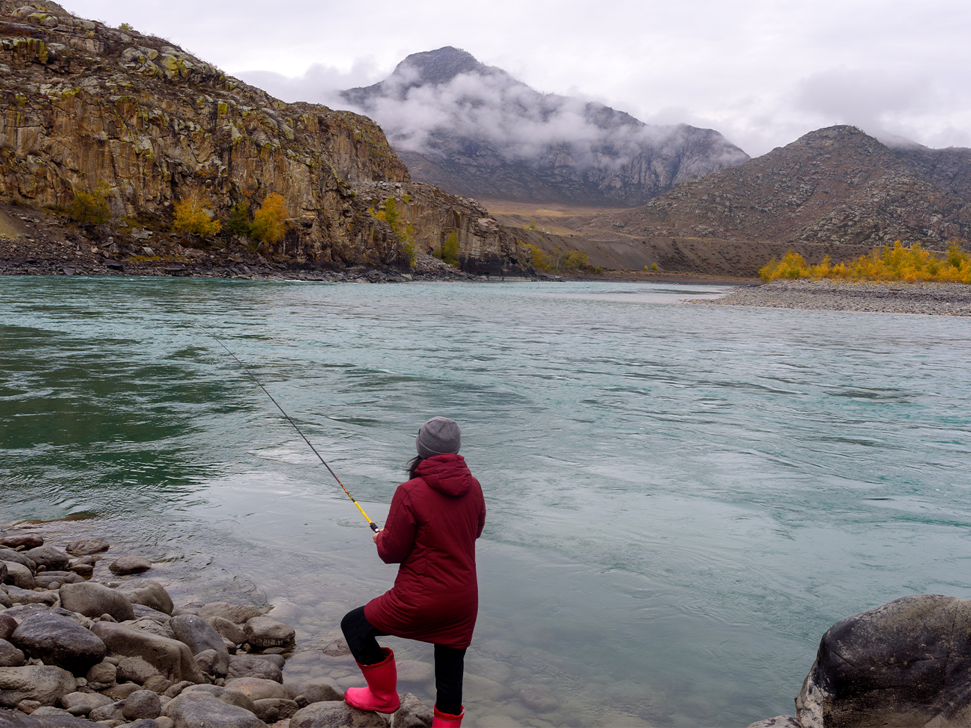 83dde962-ac37-4e76-8275-af3dc9ca12d6