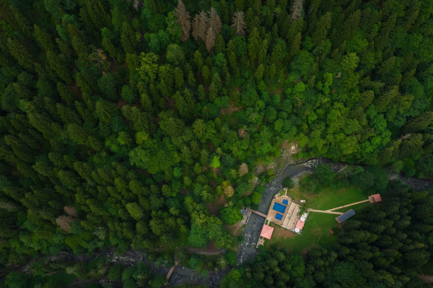 d0a8ed13-9768-4404-a8dd-9e5649b05c61