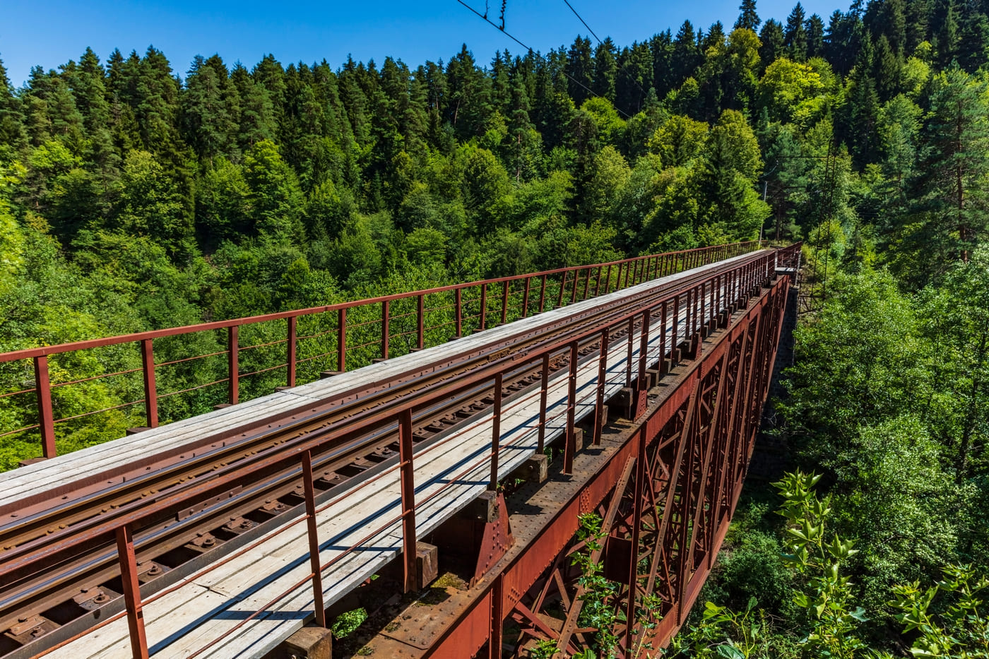 31f423e4-0a36-4b5b-b0d1-6457d18942c4