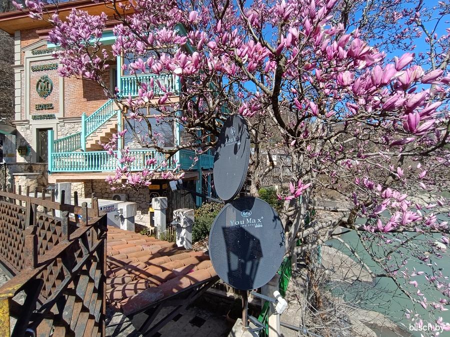 IMG_20240312_124727-03