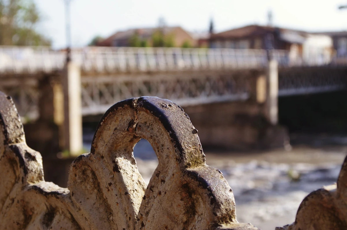 95297b88-9c60-4256-b81f-31c545e60cad