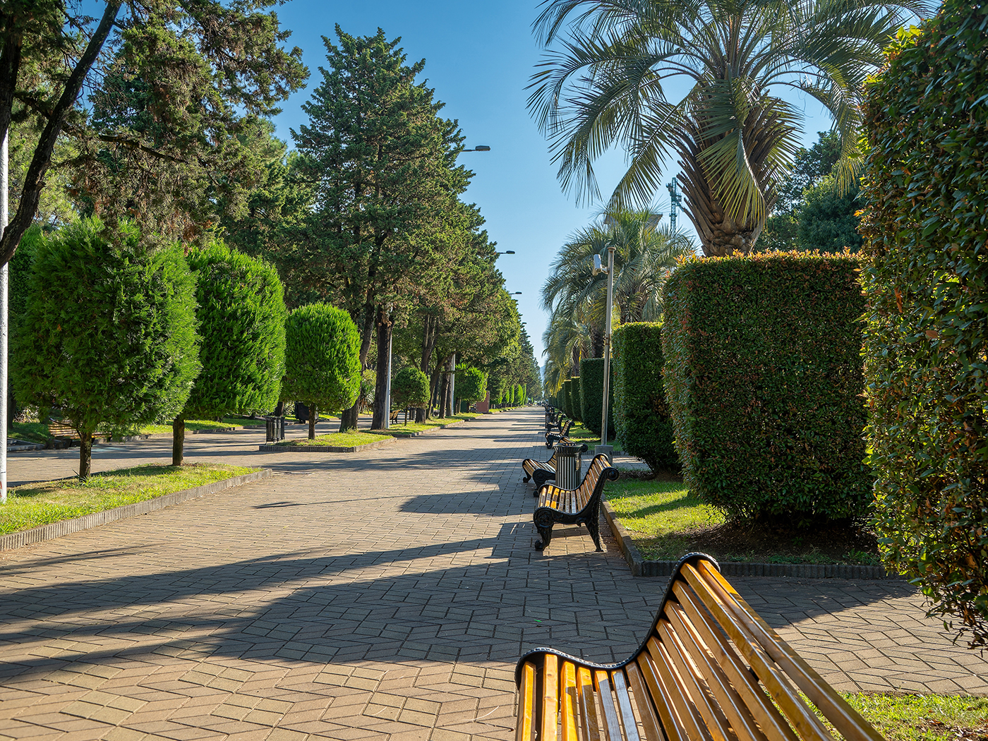 86625ffb-f09b-4bc1-be9d-a0d86adfe39c