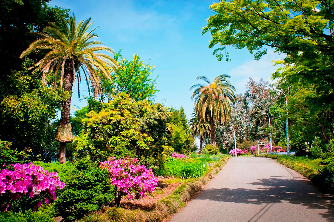 batumi-botanical-garden