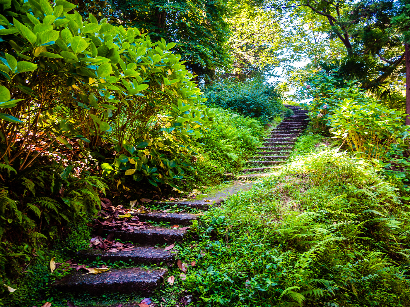 10273720-9730-4448-9d3e-e852a5583ee4