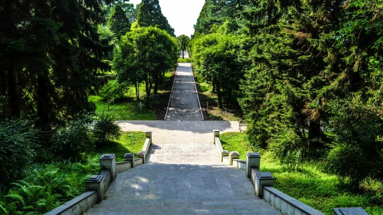 T1EWfmr2wjVin5zXcmCZ7FKIt8jzdLE5ZtlQWt0XmueFipLvo06bb_N0UX0c5VSpMVGtsQkzyUGvtVdADh_phBkBw679ZwI0J41e