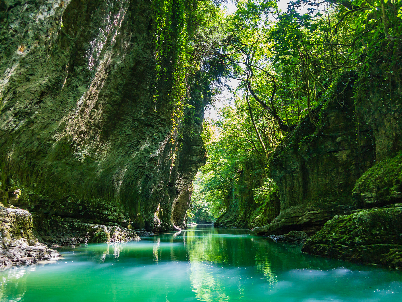 b814b672-451d-4eb6-91df-bd98cfaa6f79