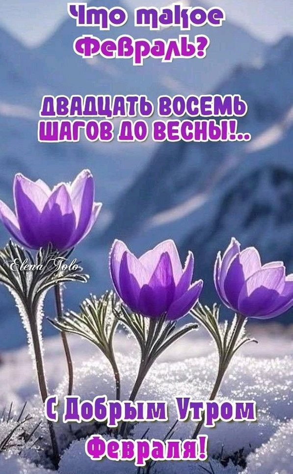 1d6b089ac831db8d50ba24d9ddff110d_cr