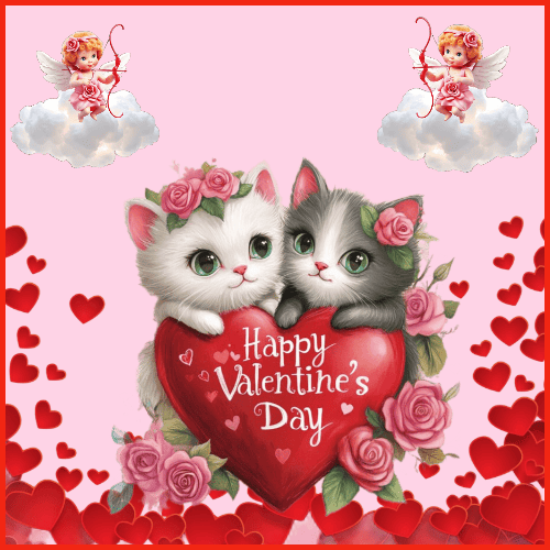 image - 2026-02-06T171125.466 (1)