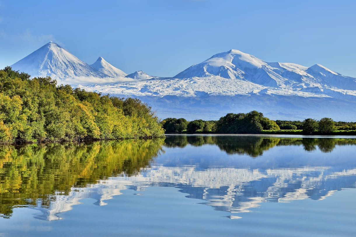 97046903-d5dd-4b10-80dc-0c22e9e25d34