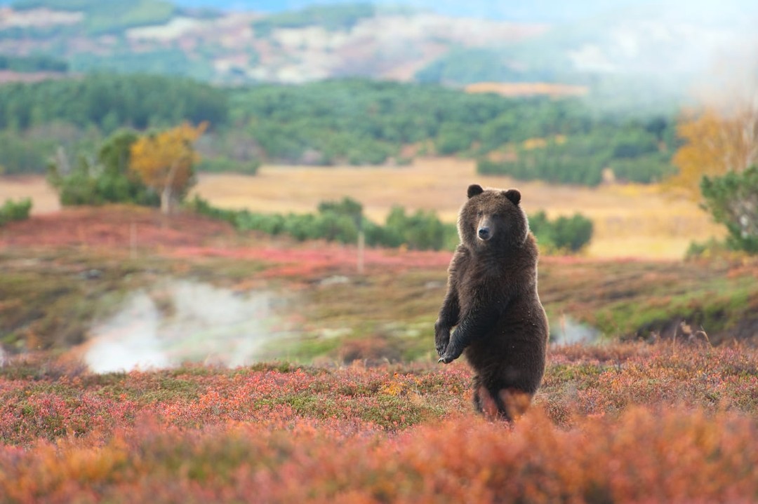 9d0f7752-00b5-451b-801e-7b73d1ce51fb