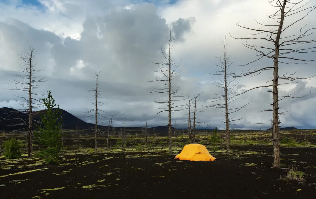 7d056415-409e-4a6f-8a52-6b4f580008ce