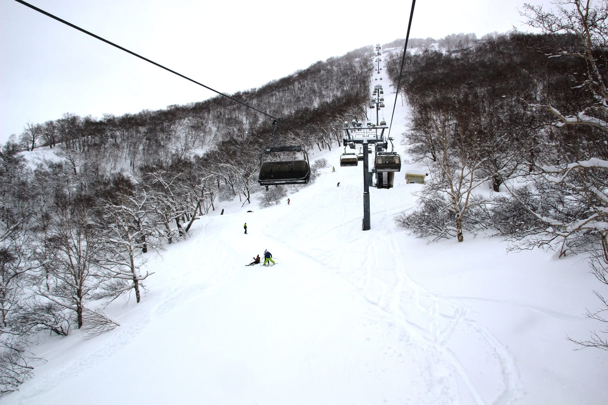 36ba7006-c05e-48d8-90c4-eeaa66d5ef5a