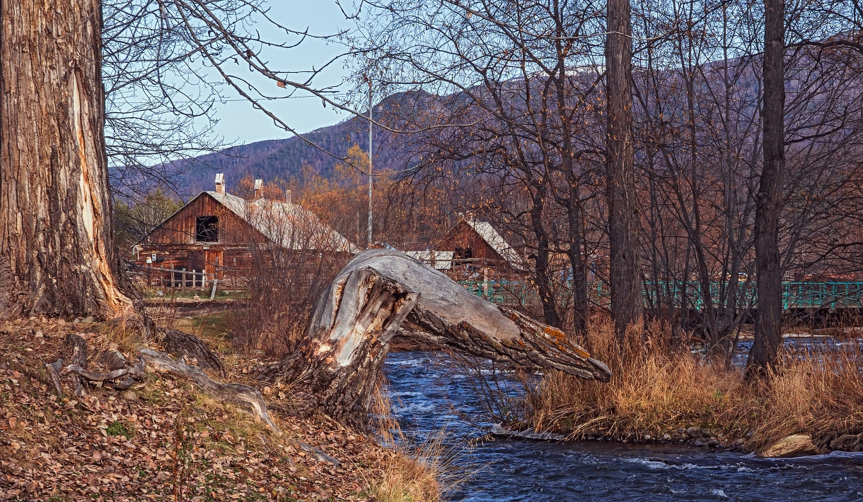 5d4dbe1a-8a59-4e09-9ee6-c9e6d7cc008a