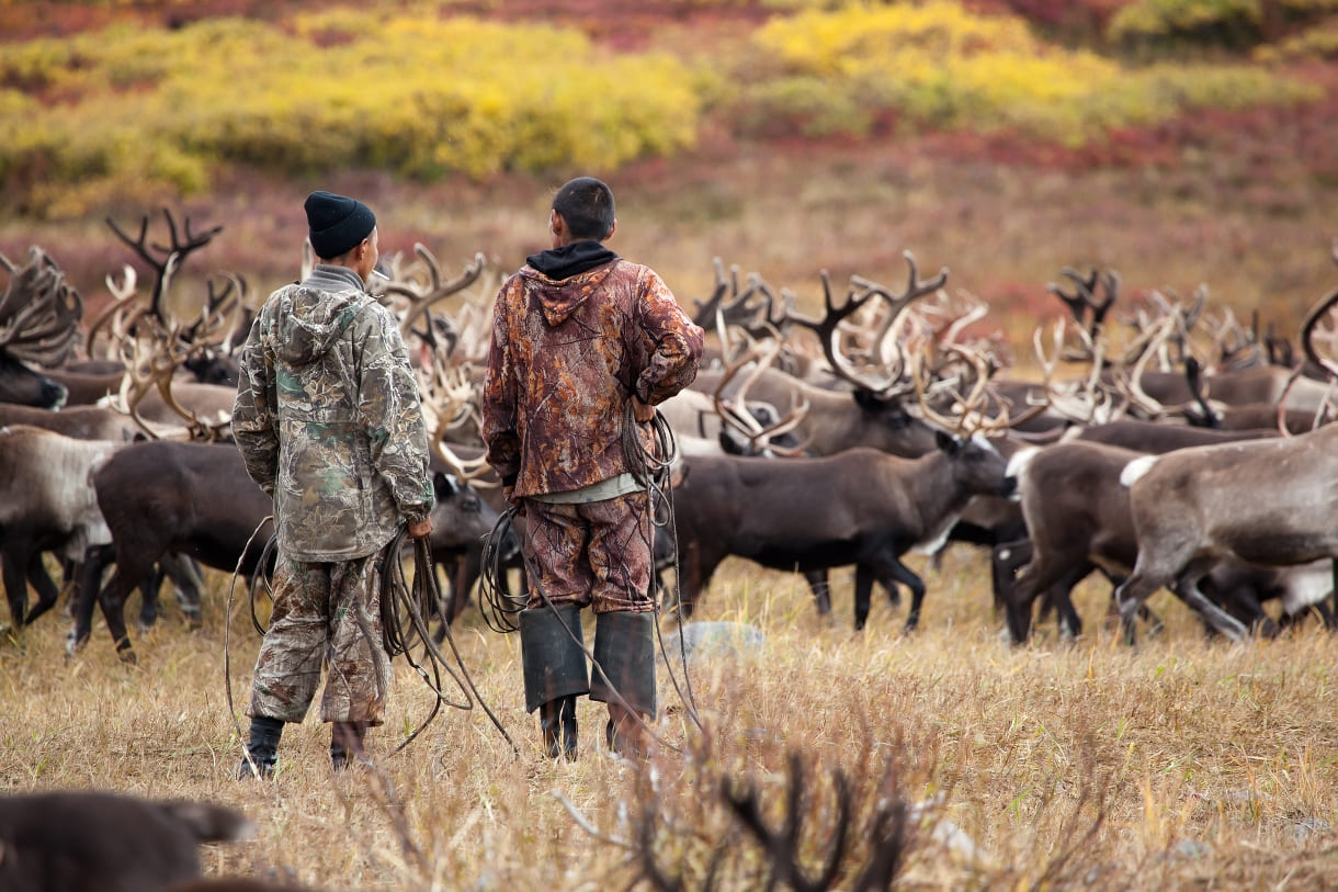 6577c14e-7f33-49ff-8b98-184a32cf98a2