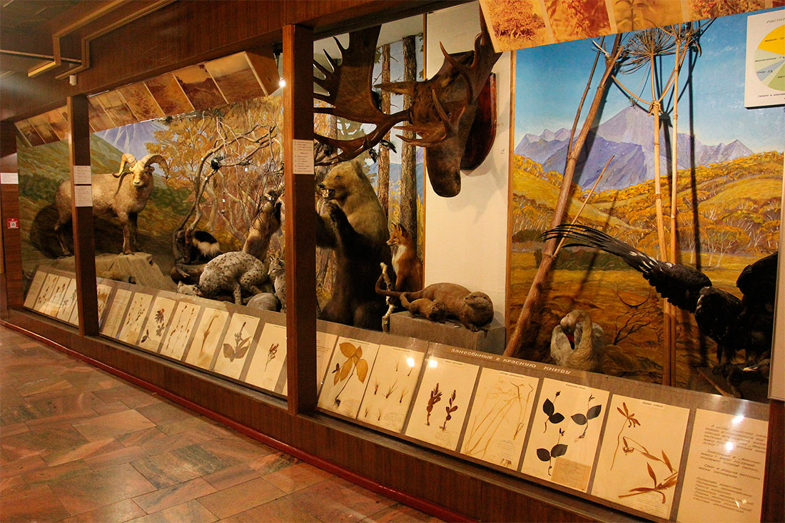 kamchatka-regional-regional-museum