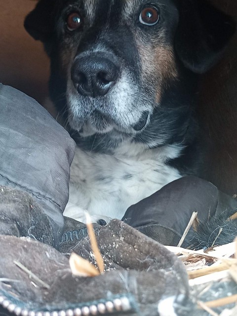 IMG-575179a63ac71001ca124e71ce5db3ab-V