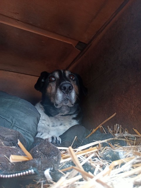 IMG-02958d6b9a21084faf88a158812be641-V