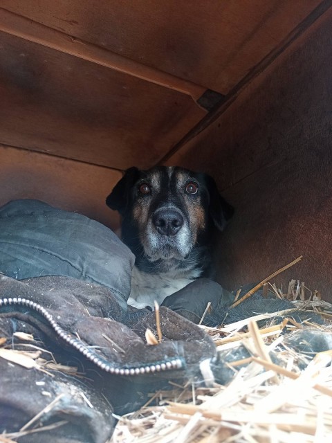 IMG-bc17e156935e51b4c5b6324628da7e94-V