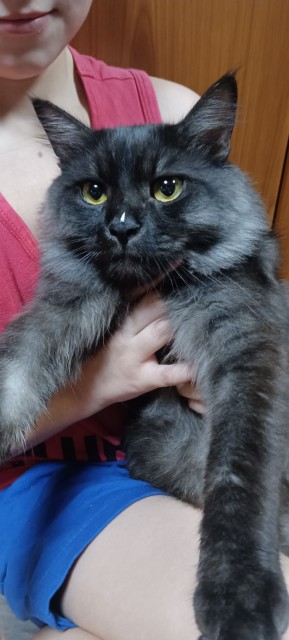 IMG-d3728094254deeea7d2465663f4cfc69-V