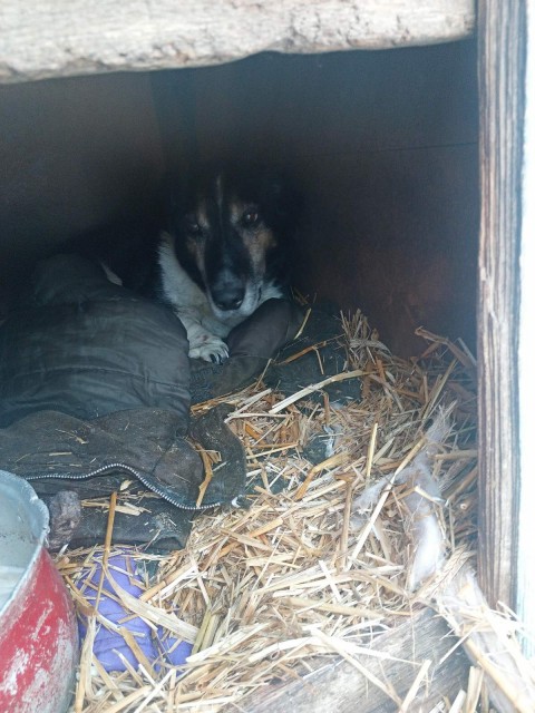 IMG-d22d1250513ff052ab467082df37bd20-V