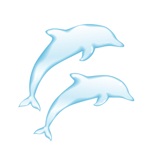dolphins-