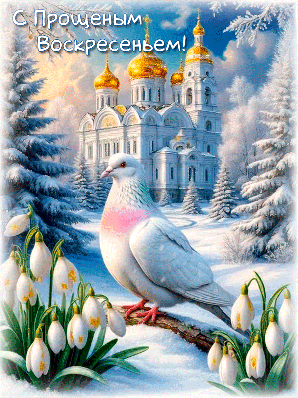 С ПРОЩЕНЫМ ВОСКРЕСЕНЬЕМ!