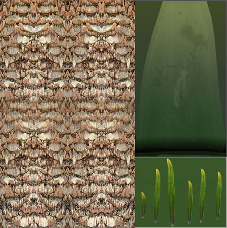 palm_01_b.-ТЕКСТУРА