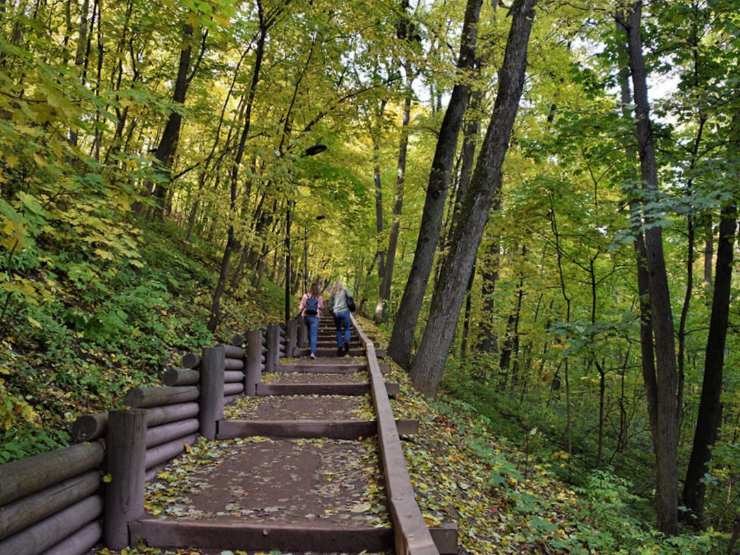 3d93308c-7815-11ed-86fc-5ad01d52064f.1080x810