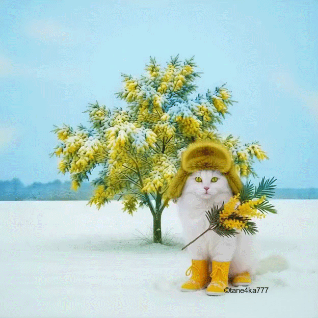 Моя анимация в нейросети