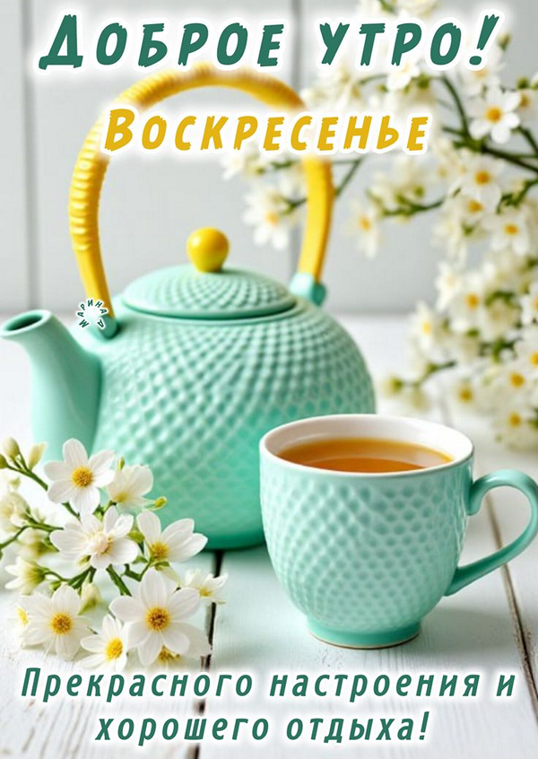 922c5c436cd6a799b735c4da299919e1_cr