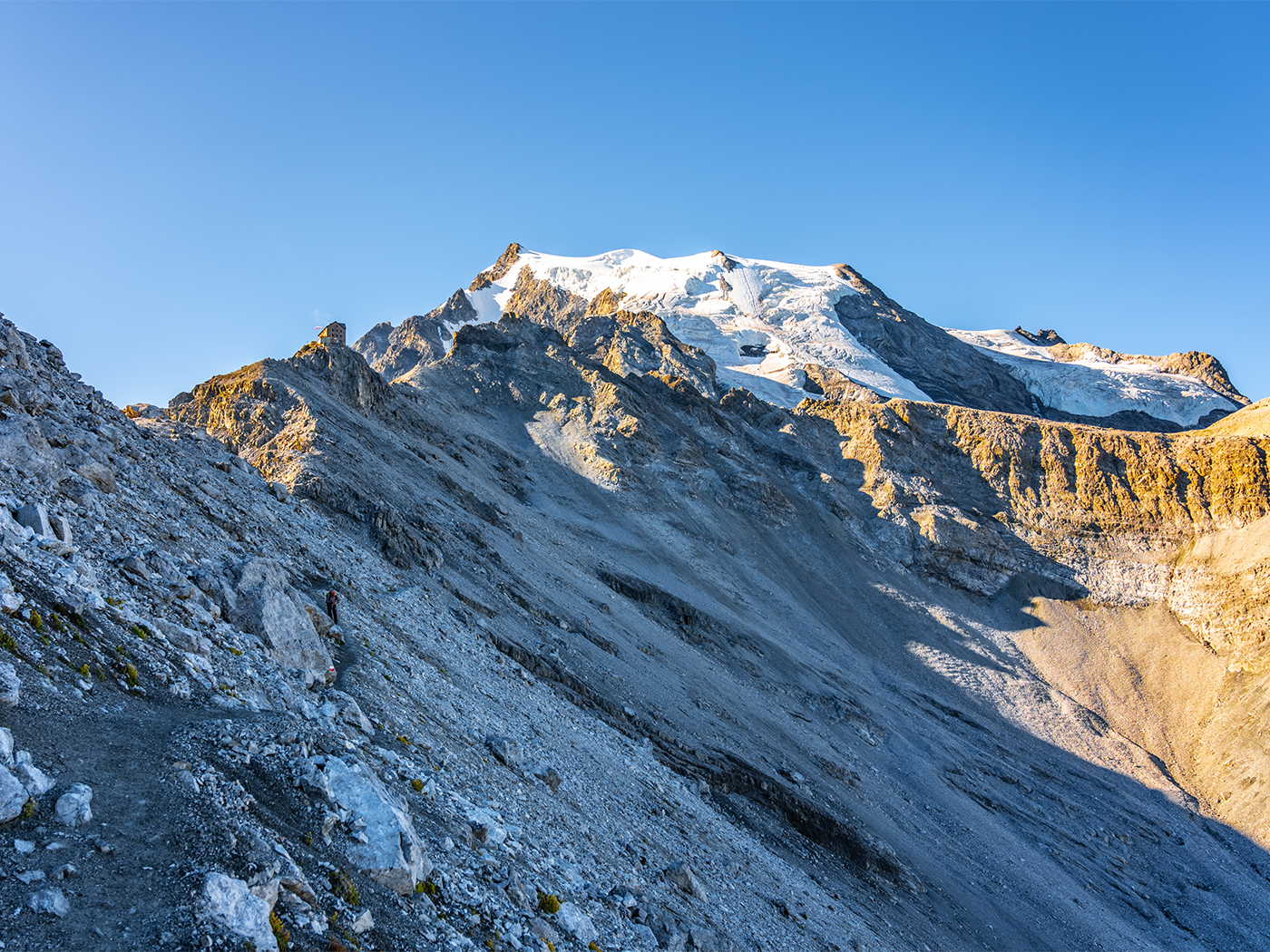 aabff783-5f74-4e65-bff0-7b591a6723f8