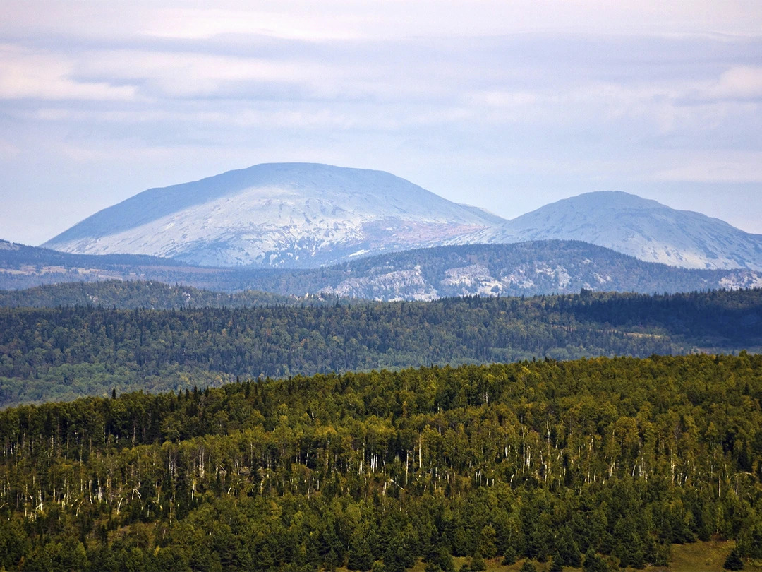 6357dfd9-4e57-4609-8a7e-cb9c0d90870a