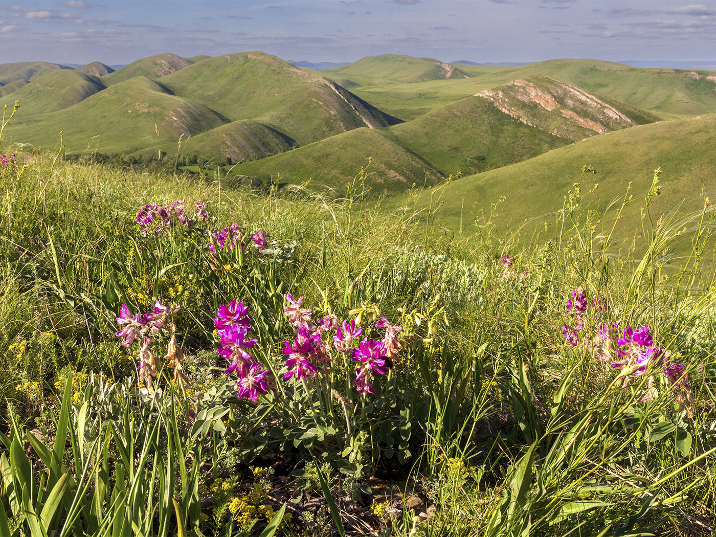 d60c6f23-d3a5-458c-99f5-a94ddd3efe6e