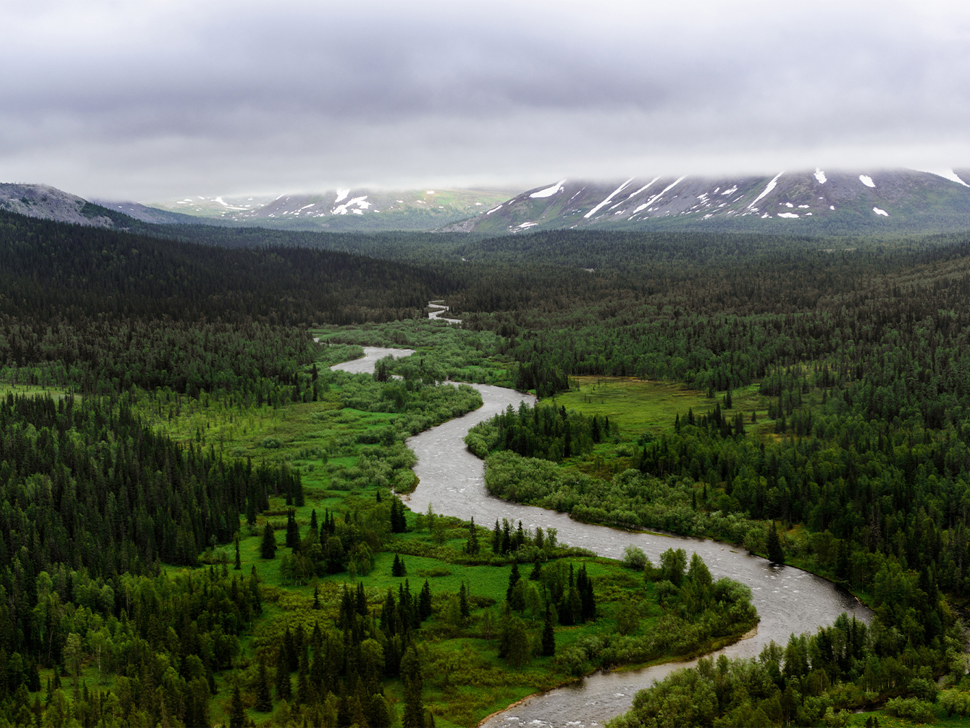 d3c128b9-f806-459a-bbc8-9c09149c7f3e