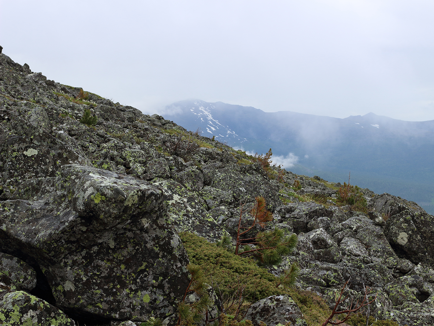 fb63cd61-63a4-4aa9-a21e-17827881c6f1