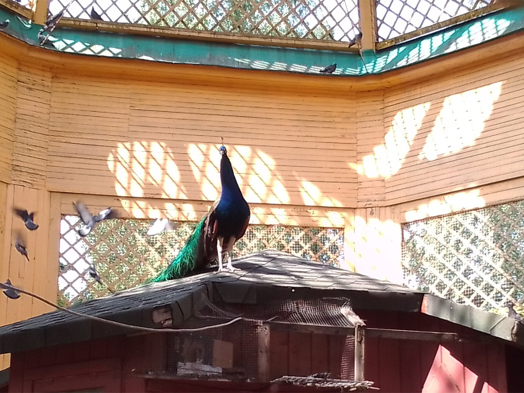 d517359c-f025-421a-b124-e92002592036