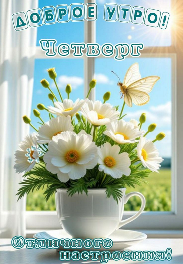 3f7609419334b16643d8da7144c61f1b_cr