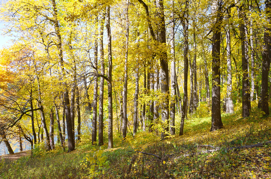 tild6635-6138-4632-b138-353962313132__lori-0036523134-bigw