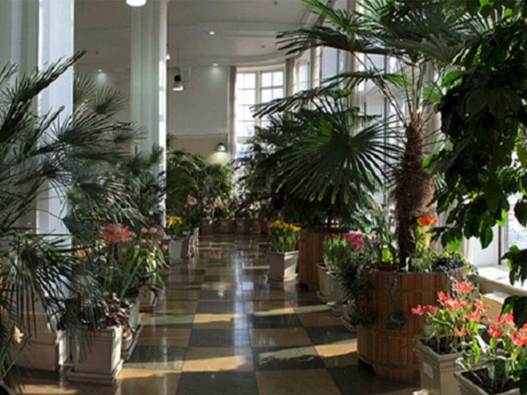 70bfefb0-8fe7-11ed-a53c-6a63c66c3bf0.1080x810